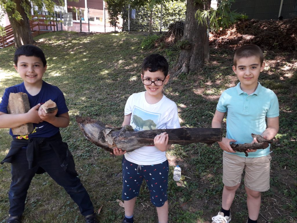 Un Nouvel H Tel Insectes Ecole Leclerc Schiltigheim